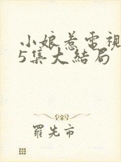 小娘惹电视剧45集大结局封面