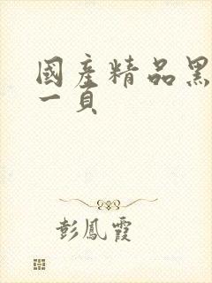 国产精品黑丝第一页