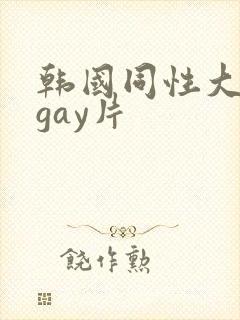 韩国同性大尺度gay片
