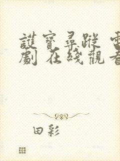 护宝寻踪 电视剧 在线观看