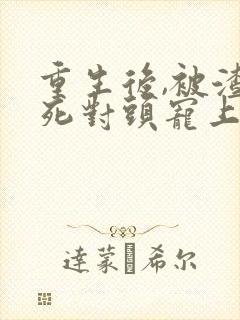 重生后,被渣男死对头宠上天全文阅读