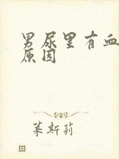 男尿里有血什么原因