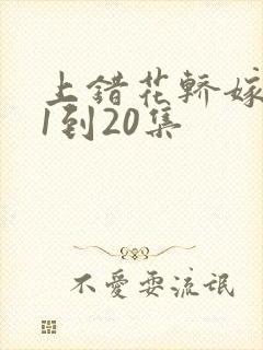 上错花轿嫁对郎1到20集封面