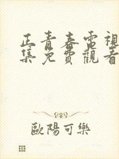 正青春电视剧全集免费观看完整版