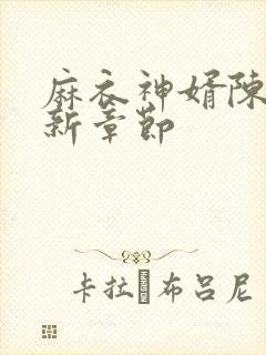 麻衣神婿陈黄皮新章节封面