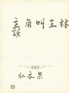 主角叫王林的小说