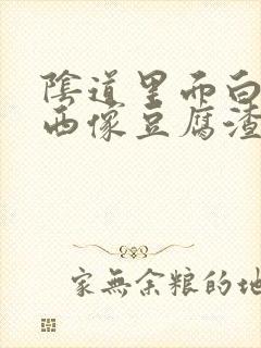 阴道里面白色东西像豆腐渣封面