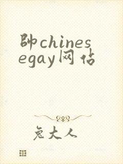 帅chinesegay网站