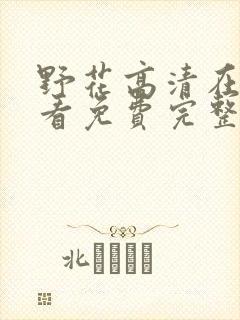 野花高清在线观看免费完整bd