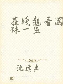 在线观看国产丝袜一区