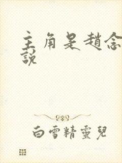 主角是赵念的小说