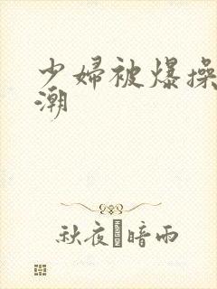 少妇被爆操到高潮