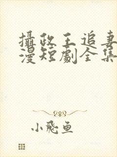 摄政王追妻路漫漫短剧全集