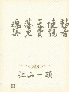 魂落天使动漫全集免费观看封面