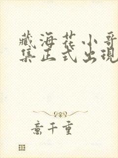 藏海花小哥第几集正式出现