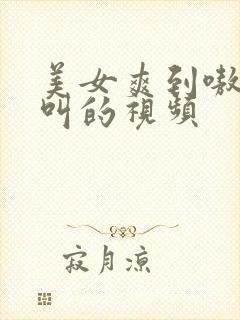 美女爽到嗷嗷嗷叫的视频封面