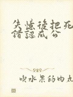 失忆后把死对头错认成公封面