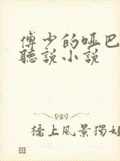 傅少的哑巴新妻听说小说封面