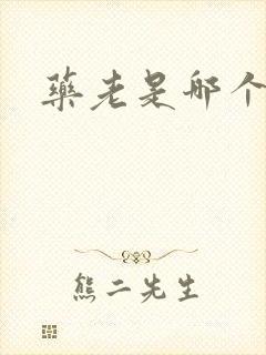 药老是哪个小说封面