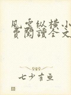 风云纵横小说免费阅读全文