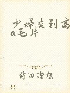 少妇爽到高潮的a毛片