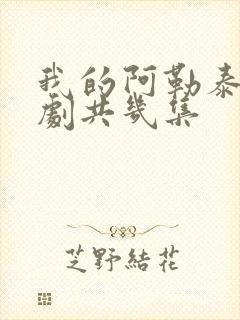 我的阿勒泰电视剧共几集