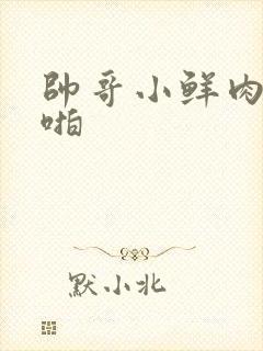 帅哥小鲜肉啪啪啪