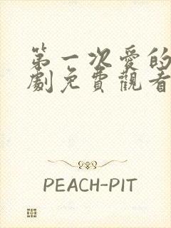 第一次爱的人韩剧免费观看国产电视剧封面