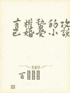 有权势的攻看上已婚受小说