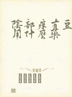 阴部痒有豆腐渣用什么药