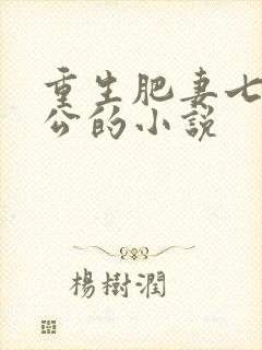 重生肥妻七个相公的小说