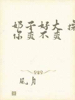 奶子好大 操的你爽不爽封面