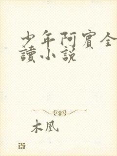 少年阿宾全文阅读小说封面