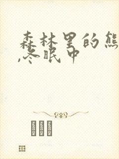 森林里的熊先生,冬眠中