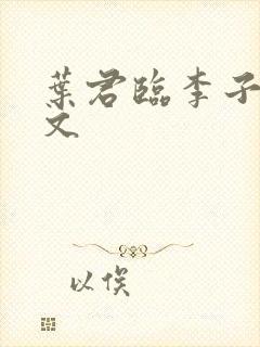 叶君临李子染全文封面