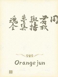 魂梦与君同短剧全集播放