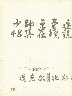 少帅免费连续剧48集在线观看高清版封面