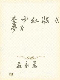 李少红版《红楼梦》