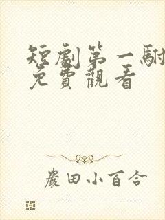 短剧第一驸马爷免费观看