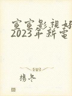 宣宣影视好看的2023年新电视剧
