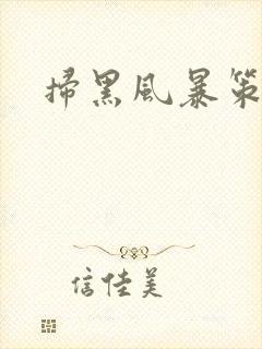 扫黑风暴策驰封面