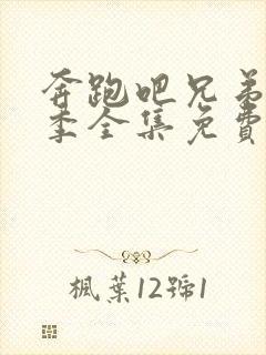 奔跑吧兄弟第九季全集免费完整版