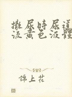 撒尿时尿道刺痛流黄色液体