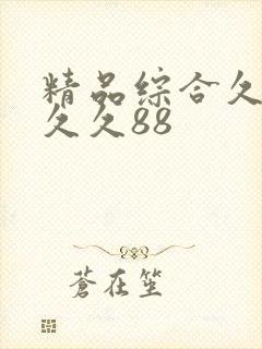 精品综合久久久久久88