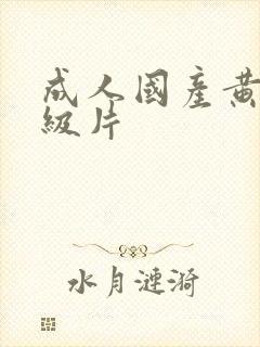 成人国产黄色一级片