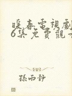 暖春电视剧全26集免费观看高清