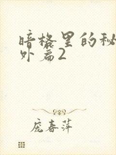 暗格里的秘密番外篇2封面