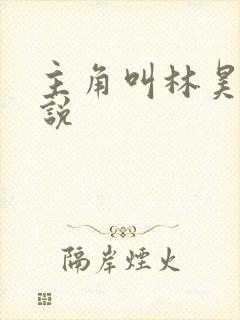 主角叫林昊的小说封面