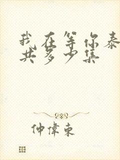 我在等你泰剧一共多少集