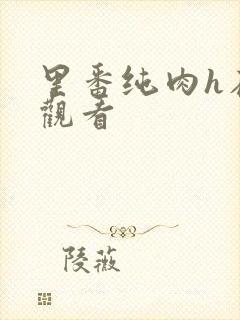 里番纯肉h在线观看封面